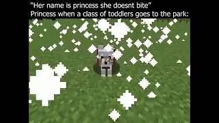 Princess