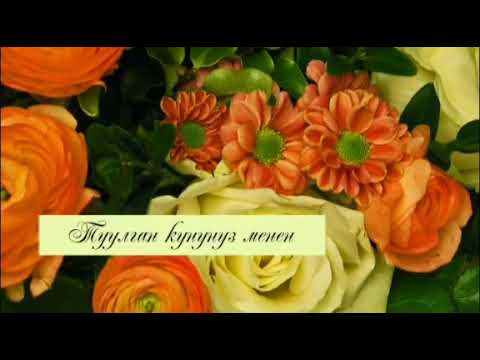 Video: Декреттик өргүүдө апама иштөө