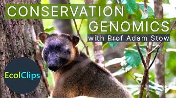 Conservation Genomics with Prof. Adam Stow | EcolClips