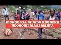 Kimako kinene thutha wa mutwe utari na mwiri kuonekana ukwamite maai mahiu