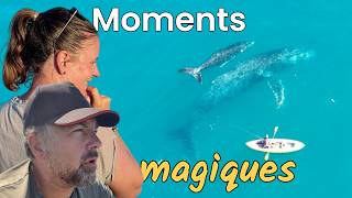 La BAJA nous fait VIVRE des MOMENTS MAGIQUES 🤩 - Nesta autour du Monde 🌎