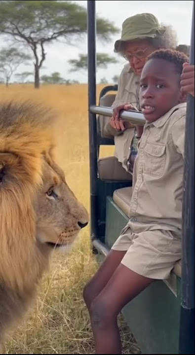 A Lion Suddenly Appeared and What Happened Next Shocked Everyone  #fypシ #viralvideos #animals #lion