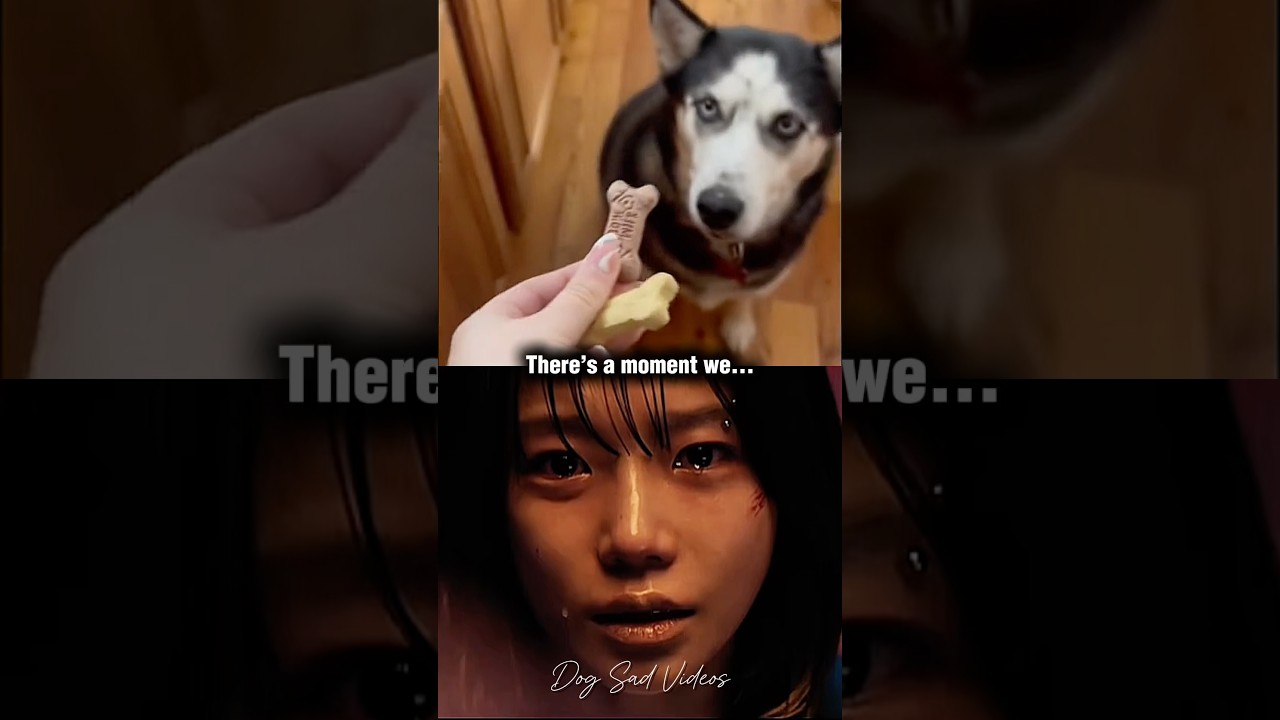 Dog Sad Video 💔 (SAD GOODBYE) 
