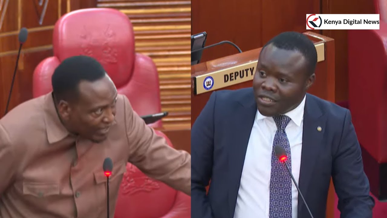 'DON'T SANITIZE MY GOVERNOR,' Sen. Onyonka Differs with Sen. Eddy Oketch!