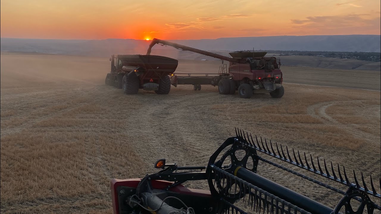 2023 Crop Year in Photos - YouTube