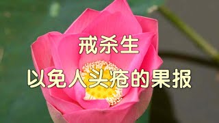 戒杀生以免人头疮的果报  《陈明安传教士弘法集》  [唯佛宗世界人乘佛教]