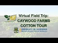 Caywood farms cotton field trip