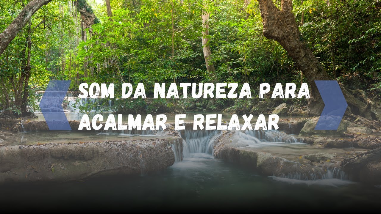 Música para Meditar e Relaxar ao Som Natureza Acalmar a Mente - YouTube