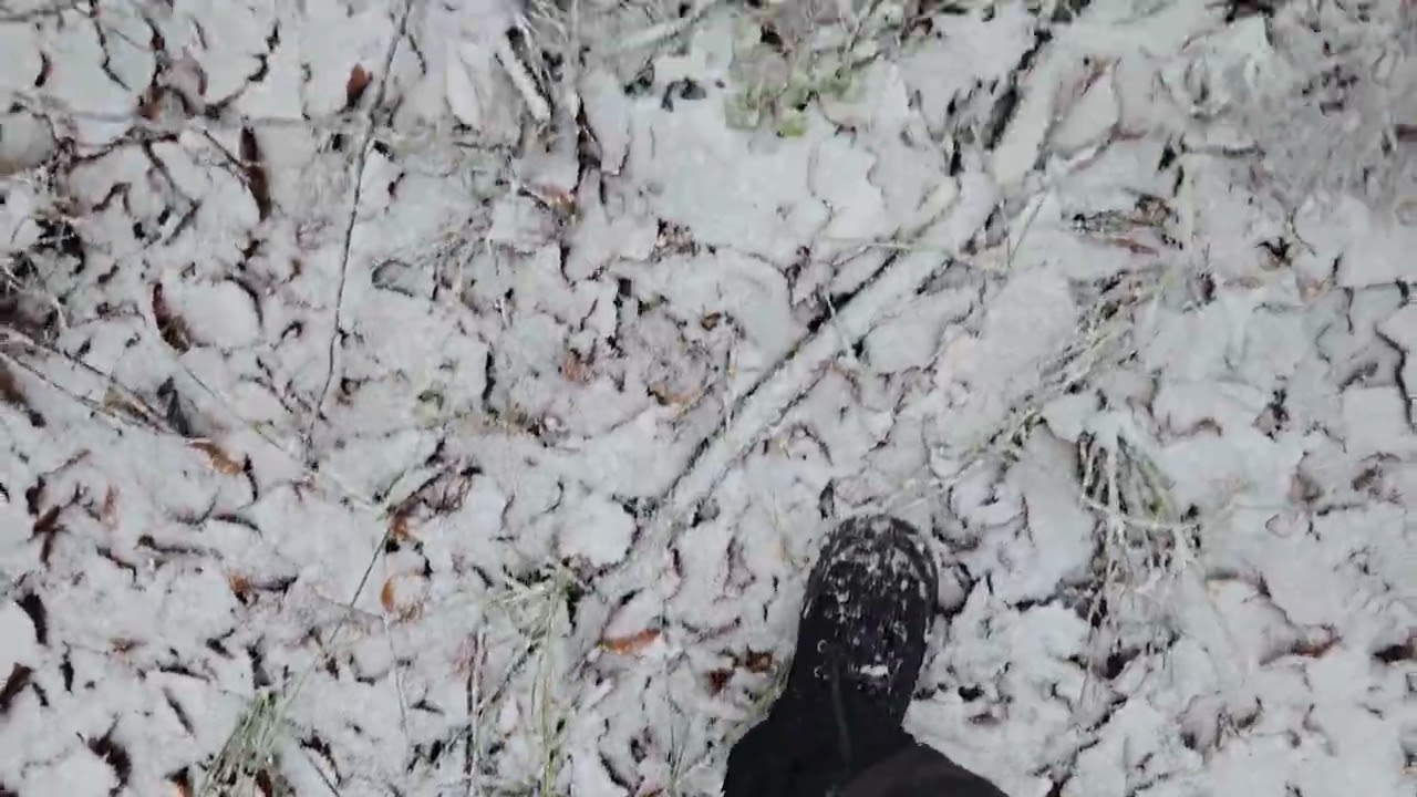 Karlı havada yürüyüş.