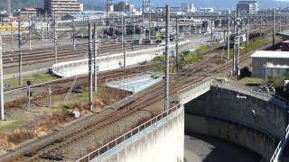 9863レ　EF64 1010号機【九州チキ返却】静岡貨物駅発車