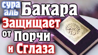 📣 ВКЛЮЧАЙТЕ СУРУ БАКАРА ЗАЩИЩАЕТ ОТ ПОРЧИ И СГЛАЗА - АЛЛАХ БУДЕТ С ТОБОЙ И ЗАЩИЩАТЬ