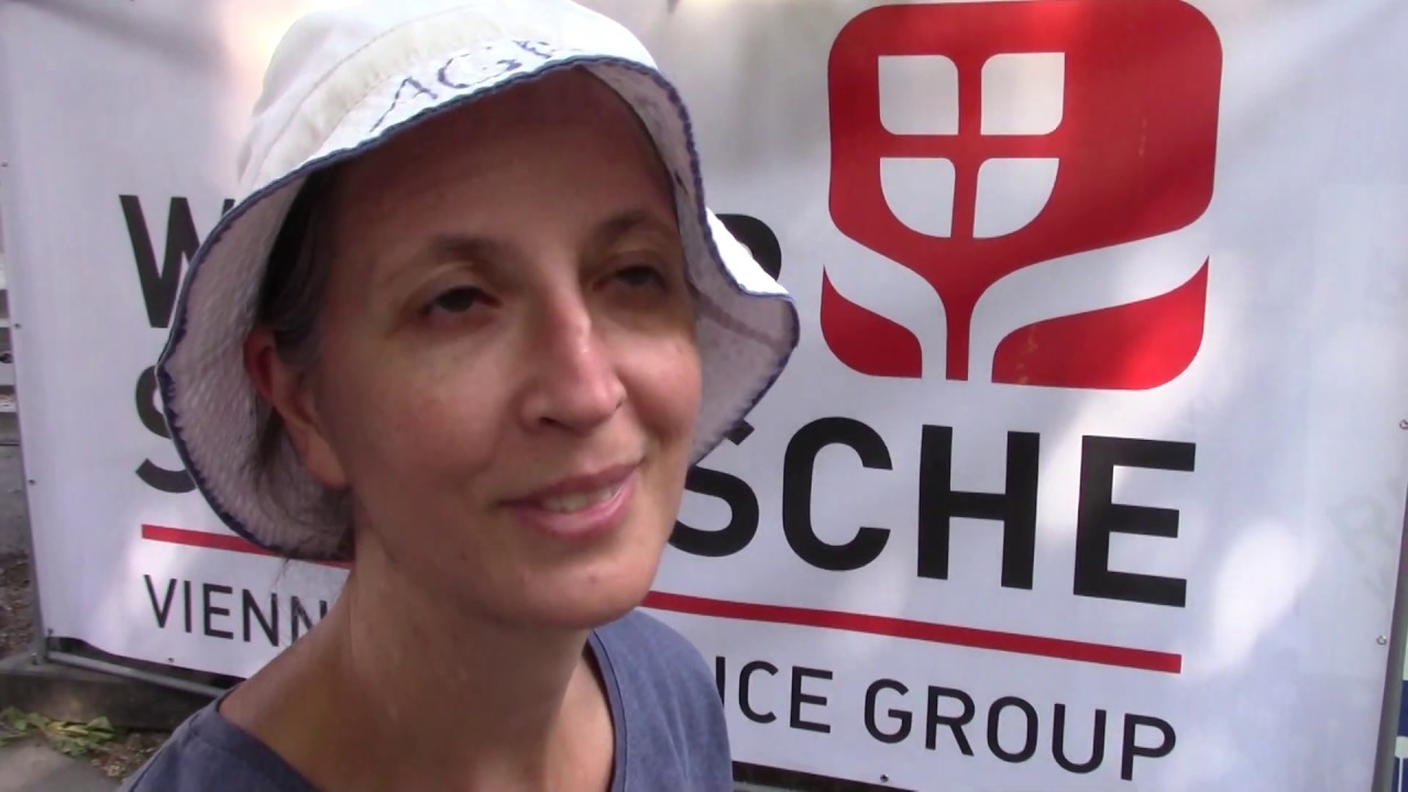 Der alte Knacker vor Ort: Bilder vom Wachauer Volksfest Krems - RY-00042