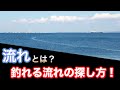 【シーバス初心者向け講座】釣れる流れとは？流れの探し方！