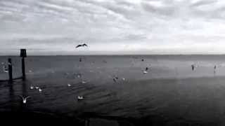 Wait (The Beatles) A Cappella cover
An A cappella version of the Beatles song Wait, from the Album Rubber Soul.
I do not own the copyright of this song. For educational and entertainment purposes only. Wait (The Beatles) A Cappella cover