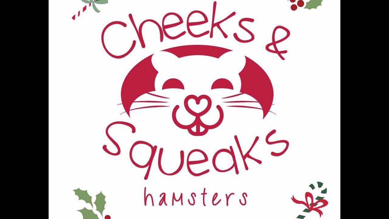 Cheeks and Squeaks Christmas Cage Tour