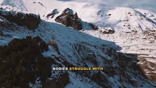 Snow Leopard Pathology and Conservation Explained: A Scientific Look