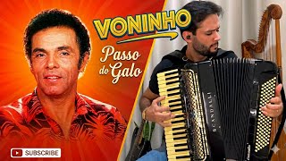 Passo do Galo - Voninho - Wellington Dornelas 