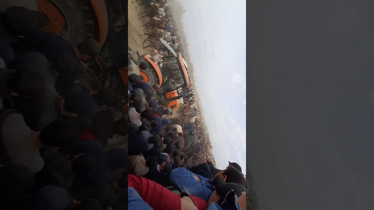 Urgut kupkari tegana