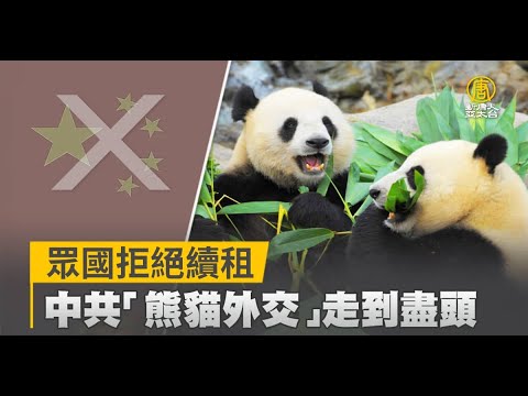 眾國拒絕續租 中共「熊貓外交」走到盡頭