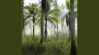 Download lagu Tropical melody