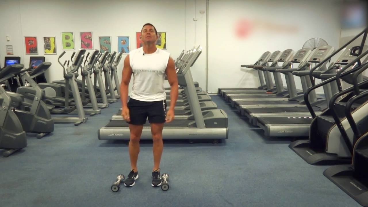 Lateral Raises (Exercises.com.au) exercising everyday