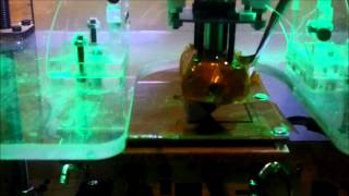 Celebrity The Makerbot In Action Net Worth