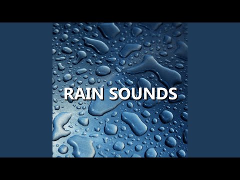 Windy Eventide Rain Sounds