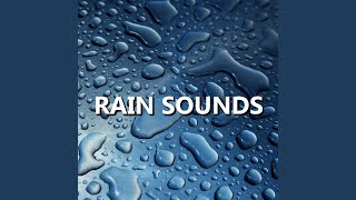 Windy Eventide Rain Sounds