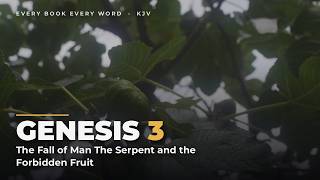 Genesis 3 The Fall of Man The Serpent and the Forbidden Fruit Cinematic KJV Bi