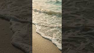 Free Chill Sea short type beat#chilltypebeat #chill #seamusica #chillmusic #chillvibes #typebeat