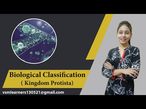 BIOLOGICAL CLASSIFICATION | PROTISTA | CHRYSOPHYTA | DINOFLAGELLATES | EUGLENOPHYTA | SLIME MOULDS |