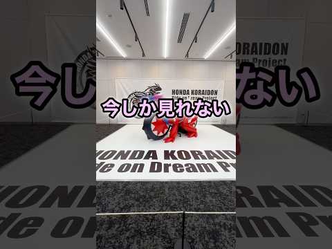 今しか見れない#shorts #vlog #ポケモン #ポケットモンスター #pocketmonsters #ゲーム #japan #ホンダ #honda #バイク