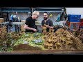 Weta workshop sculptors tabletop miniature world