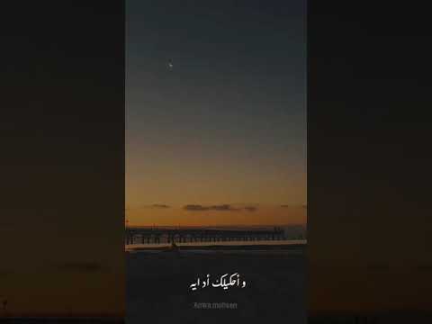 حالات واتس ليركس فرقه كاريوكي شارموفيرز من زمان نفسي اغنيلك