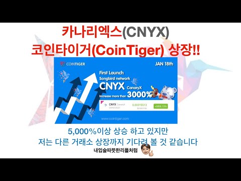   카나리엑스 CNYX 코인타이거 CoinTiger 상장 5000 상승 지금 매도 할까 말까 Feat 개인적인의견