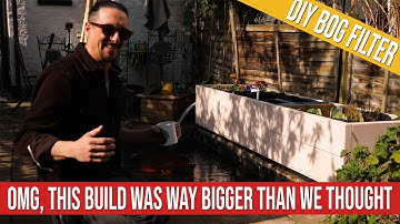 Wij hebben een moerasfilter voor onze visvijver gebouwd en de resultaten zijn verbluffend!!