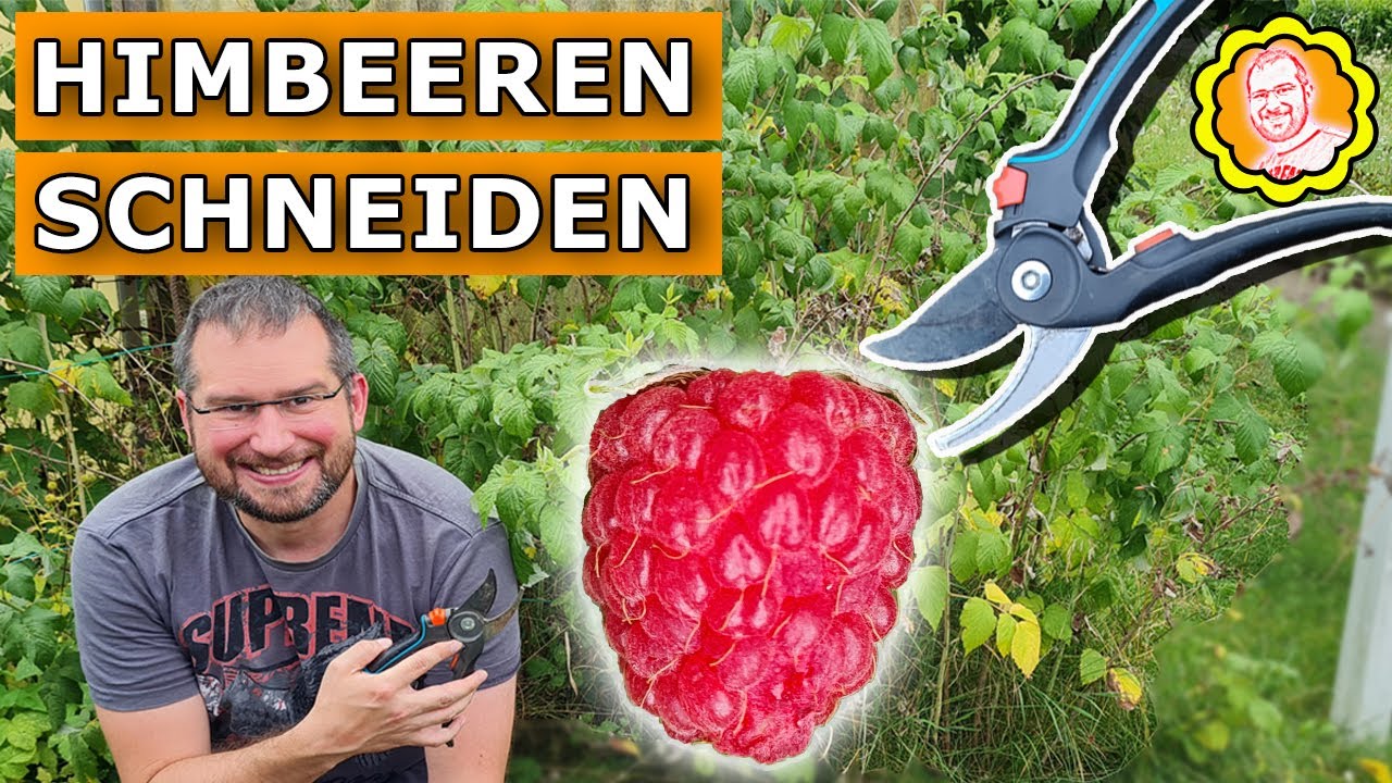 schafwolle zum düngen kaufen Dünger & Mulchmaterial aus Schafwolle – Die Sprießerie main image 0