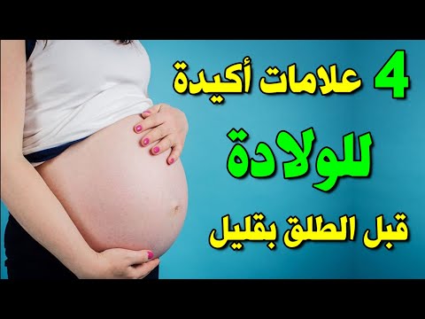 فيديو: أين منطقة ما قبل الولادة؟