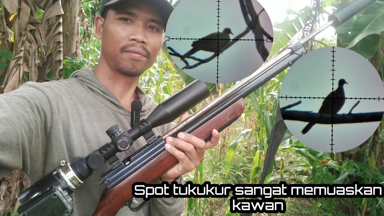 Berburu di spot punai dan tukukurr mengunakan uklik canon 747 
