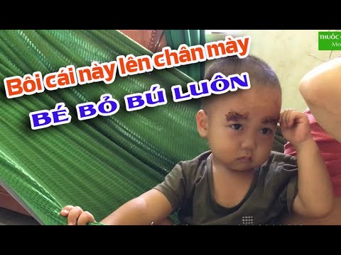 Video: Cách Cai Sữa Cho Mèo