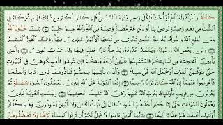 سورة النساء بصوت الشيخ مصطفى رعد العزاوي
