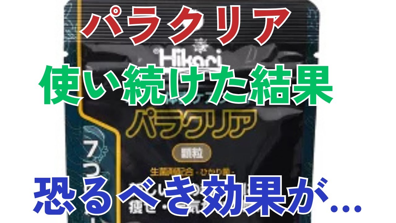 パラクリアをメダカに数カ月間与え続けた結果…すさまじい効果をガチレビュー…
