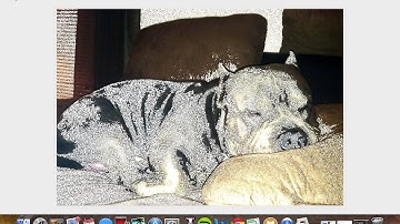 ITIS 1212 Java Movie