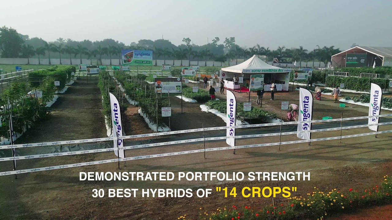 📢Experience our Syngenta Vegetable CB Nursery Crop Show !! | Raipur | Vegetable Seeds