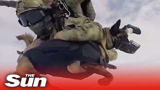 Russia's paratroopers jump from planes with DOGS