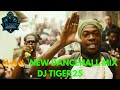 New dancehall mix 2024 dj tiger25 ft skillibengskengvybzhitrunbyrongovana