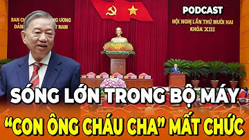 Hàng Loạt “Con Ông Cháu Cha” Bị Thu Hồi Chức – Bài Học Cán Bộ Đắt Giá