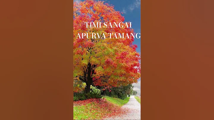 Timi Sangai, Apurva Tamang #song #music