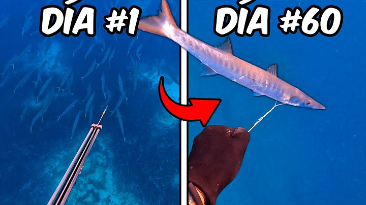 Pescando 60 Dias Para Vengar a Nemo