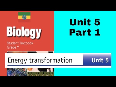 Video Ethiopian Grade 11 Biology Unit 5 p_1 Energy... - youtube